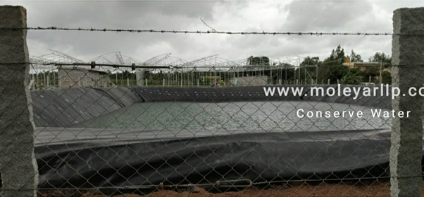 Krishi Honda Liner Bengaluru, Karnataka