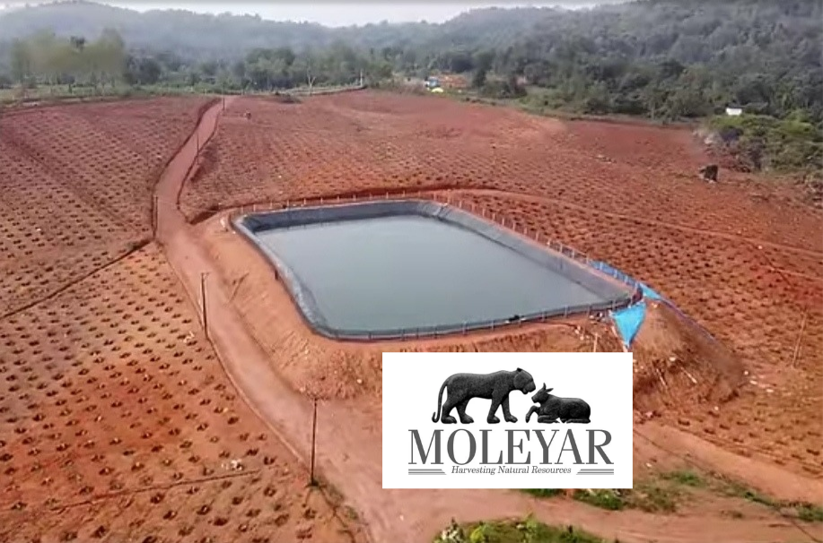 Pond Lining Bangalore